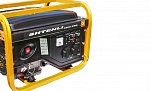 Генератор бензиновый Shtenli PRO 3900 (3,3 кВт) две розетки 220В