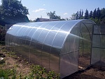 Теплица из поликарбоната Абсолют - 4 м  (труба 20х20, шаг 0,67 метр)